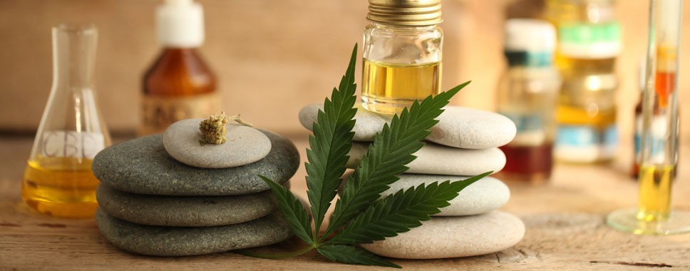 CBD Health & Wellness Magazine Named Official Publication of the Cannabinoid (CBD) Industry Association